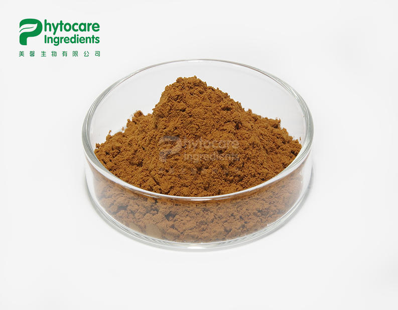Ginkgo Biloba Extract Powder